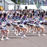 阿波踊り～女ハッピ踊り④