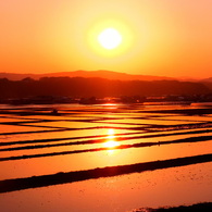 昨夕の出来事