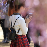 花のような人　～忘れなじ藤～