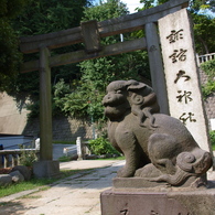 遠足カメラ横須賀どぶ板通り編