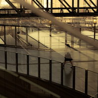 succession