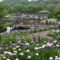 枚方市　山田池公園にて