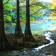 水のある風景10　【湖畔】