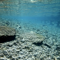 JUNE RIVER BLUE 2
