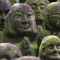 愛宕念仏寺 (20)