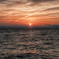 湖岸緑地　松原夕日２