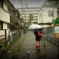 夏の雨
