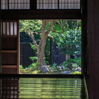 三浦館　床板の緑