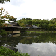 初秋の日本庭園9