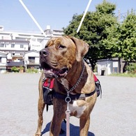 2010.09.26. KOBI'S LiFE.