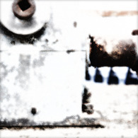 WHITE NOISE (02)