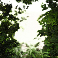 WHITE NOISE (03)