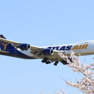 アトラス航空とさくら