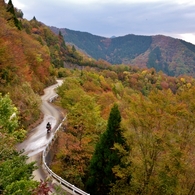 秋めく峠道