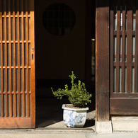 秋日和