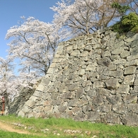 津山城-028