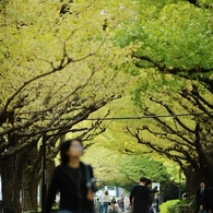 autumn for tokyoites