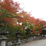 能仁寺の紅葉 17