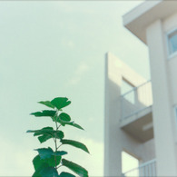『 leaf 』(03)