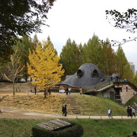 あけぼの子どもの森公園16