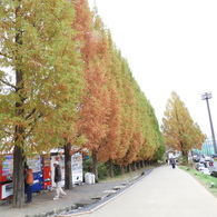 あけぼの子どもの森公園20