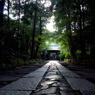 雨上がりの参道