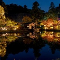 東山植物園の秋色