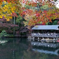 東山植物園の秋