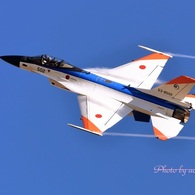 岐阜基地航空祭F-2