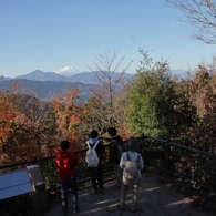 紅葉ごしの富士