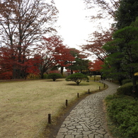 殿ヶ谷戸庭園4