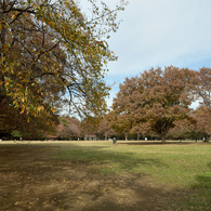 代々木公園_02