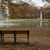 代々木公園_03