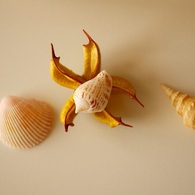 P1000997