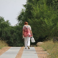 Paseo del Rastro