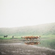 FH010029