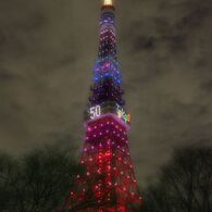 ダイヤモンドヴェール・スペシャルレインボー