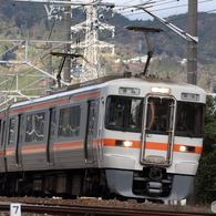 身延線　313系