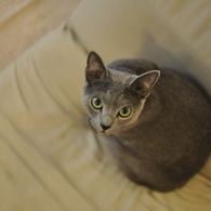 ん？