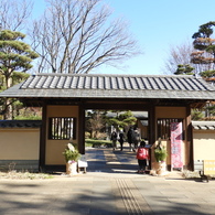 日本庭園1