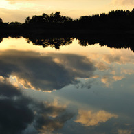 silent sunset