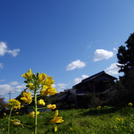 太山寺〜春近し#1