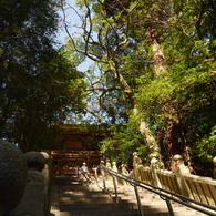 太山寺〜本堂への階段