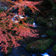 大滝渓谷2009⑪