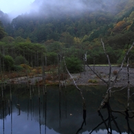 自然湖の秋