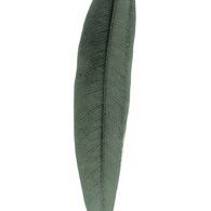 Leaf:autumn05