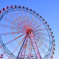 ＦＥＲＲＩＳ　ＷＨＥＥＬ