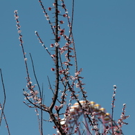 ちょうど一年前のいま　その3