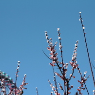 ちょうど一年前のいま　その4