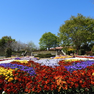 大花壇6